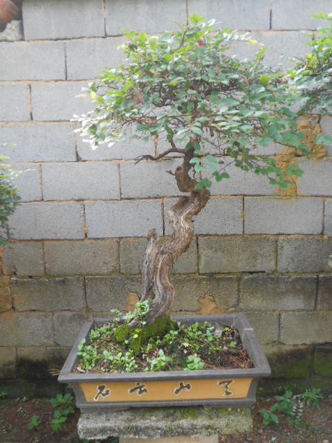 DSCN3041.JPG