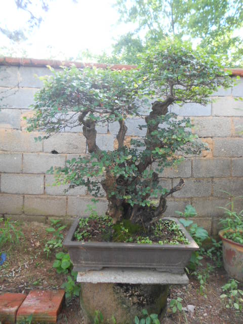 DSCN3043.JPG