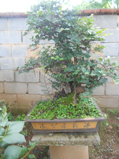 DSCN3046.JPG