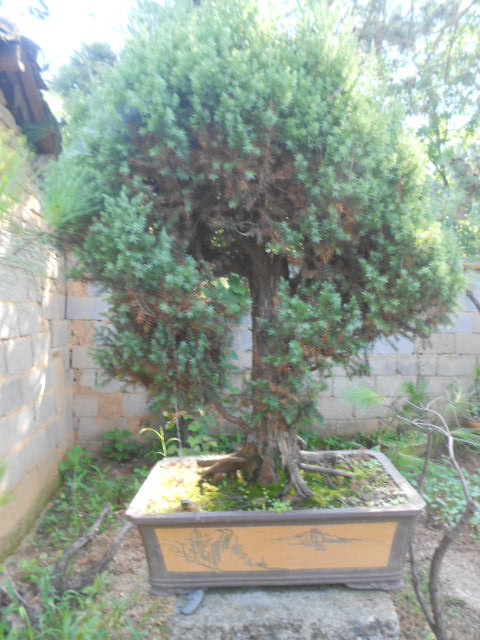 DSCN3047.JPG