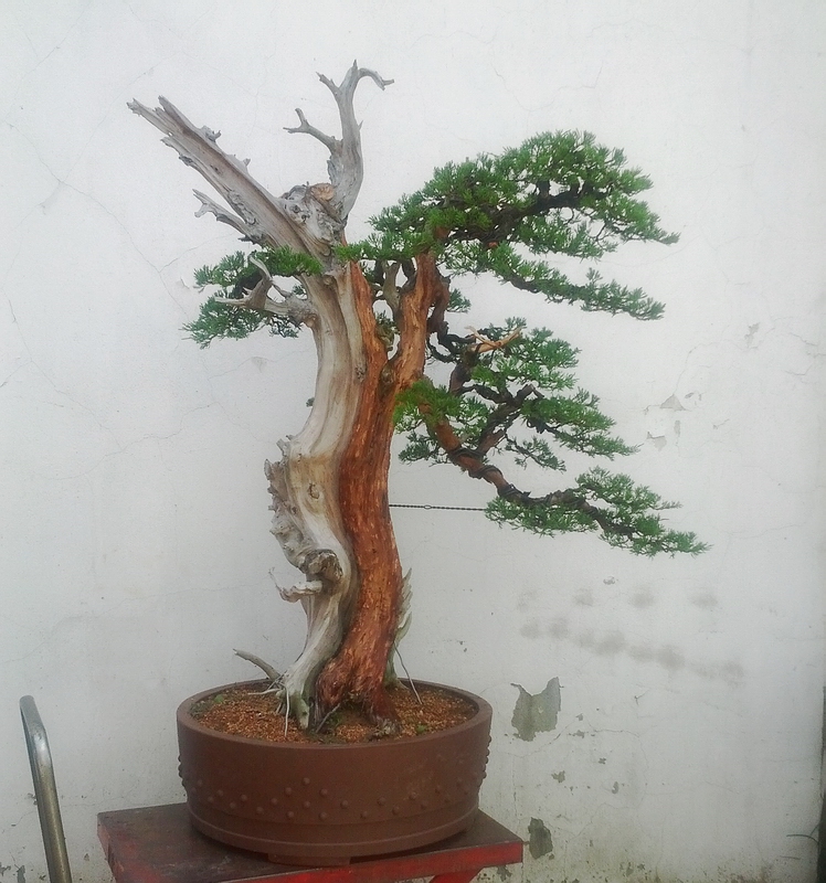 IMG_20120725_104130.jpg