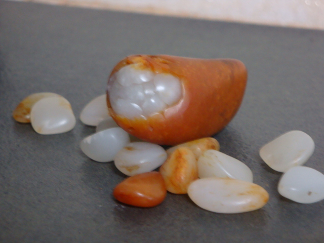 DSC09844.JPG
