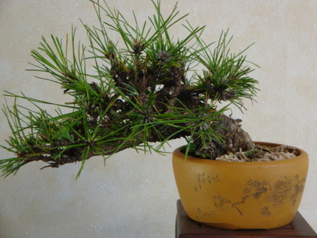DSC09807.JPG