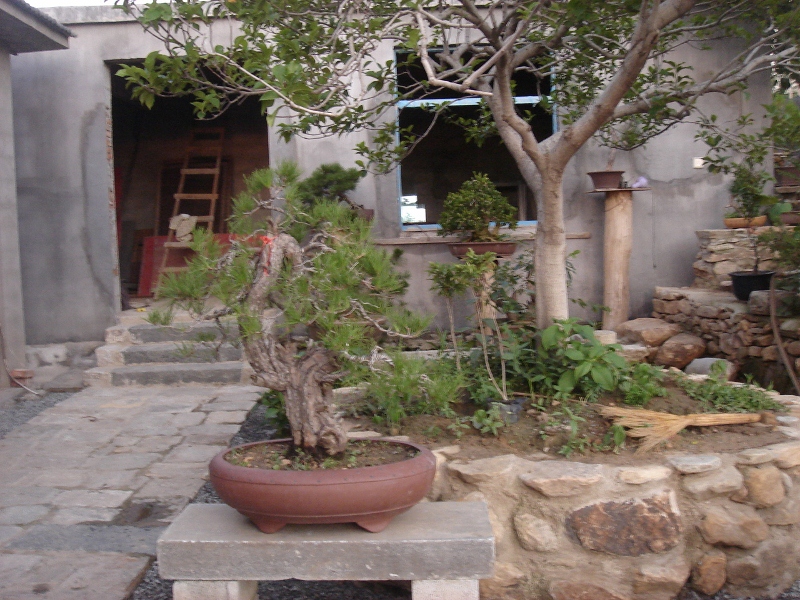 DSC06375 (800x600).jpg