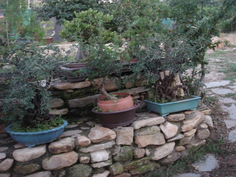 DSC06377 (800x600).jpg