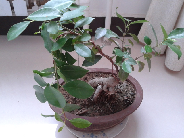 2012-07-30 15.19.24.jpg