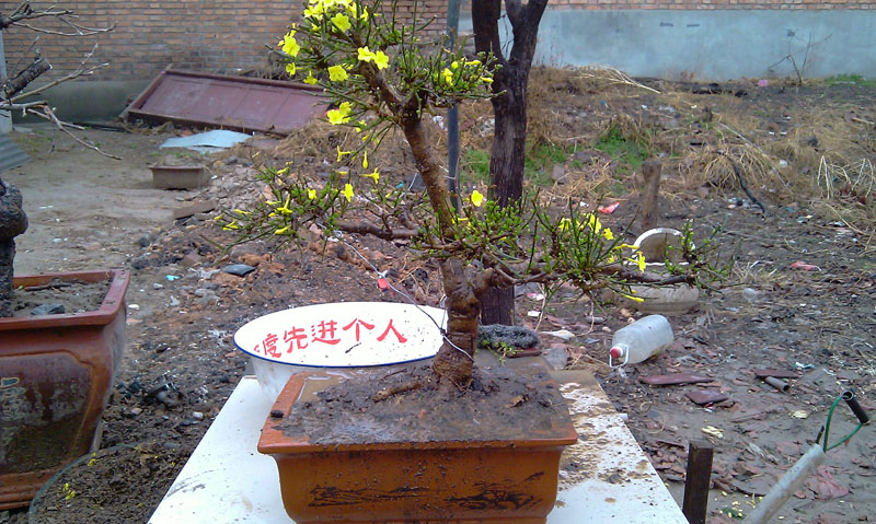 IMAG0576.jpg