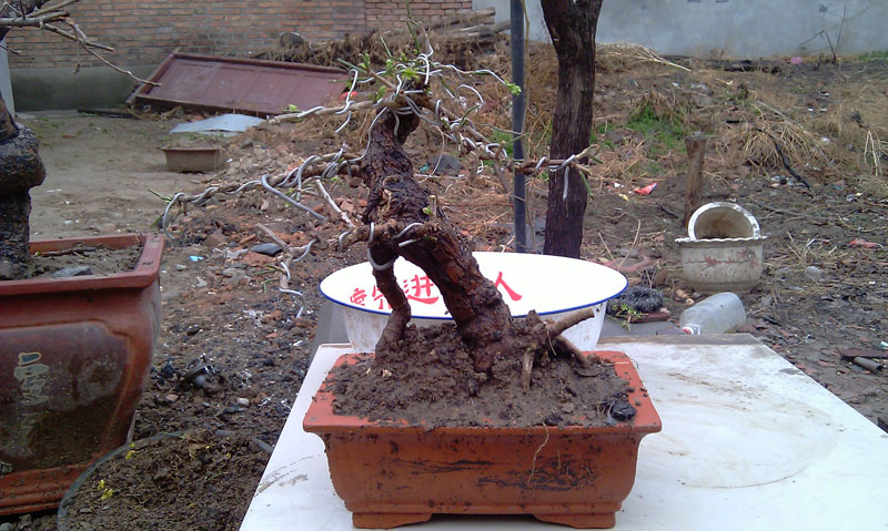 IMAG0571.jpg