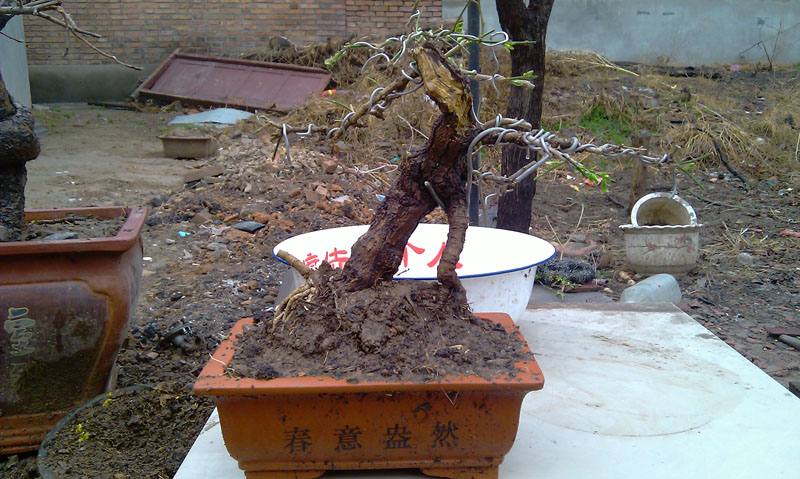 IMAG0570.jpg