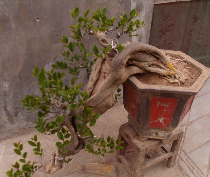 J8RKE)G5GMD[(20C1[3LNDE.jpg