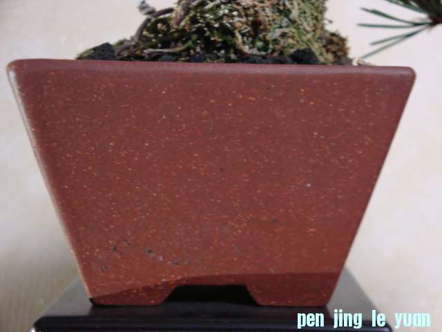 DSC09850.JPG
