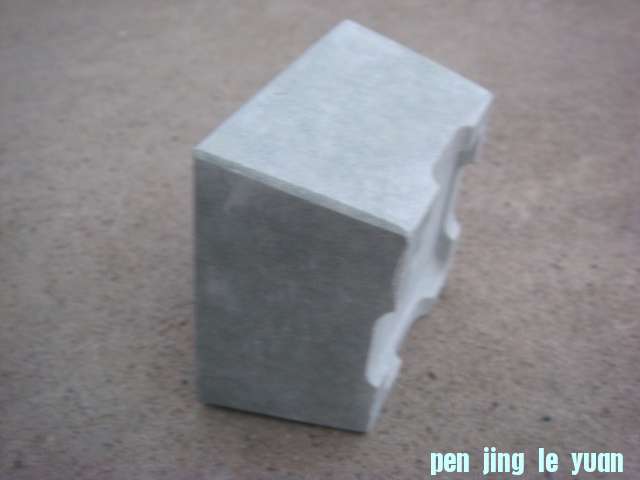 DSC03928.JPG