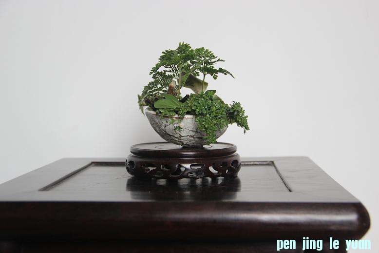 Ƭ 017.jpg