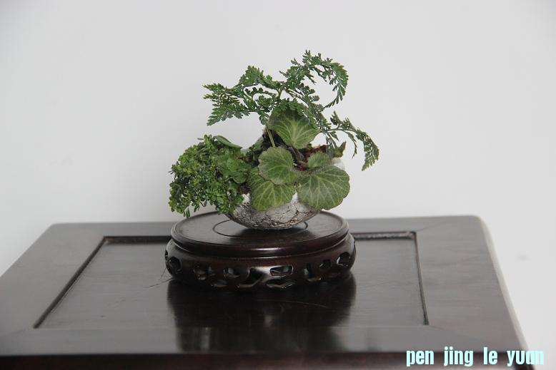 Ƭ 018.jpg