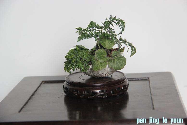 Ƭ 019.jpg