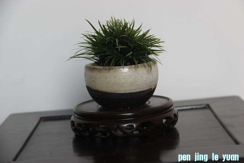 Ƭ 021.jpg