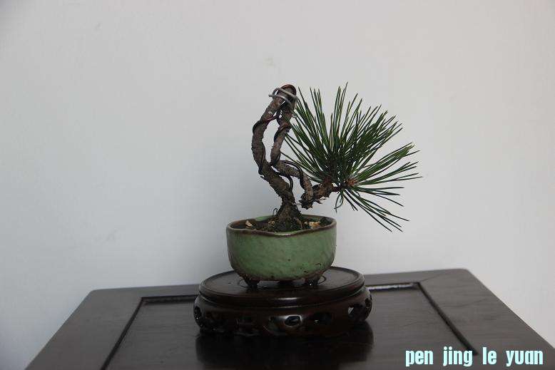 Ƭ 023.jpg
