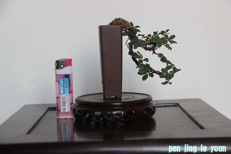 Ƭ 024.jpg