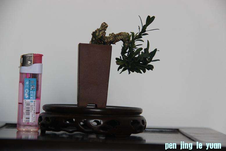 Ƭ 025.jpg