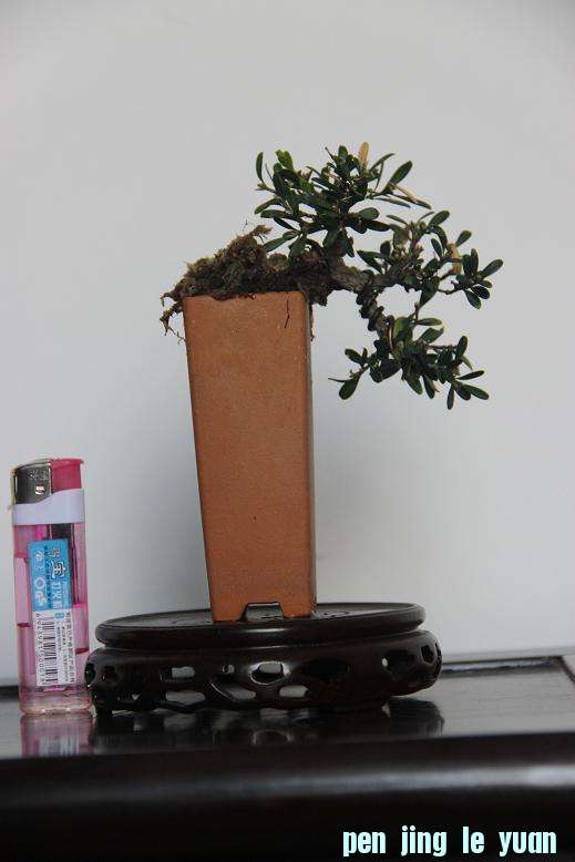 Ƭ 026.jpg
