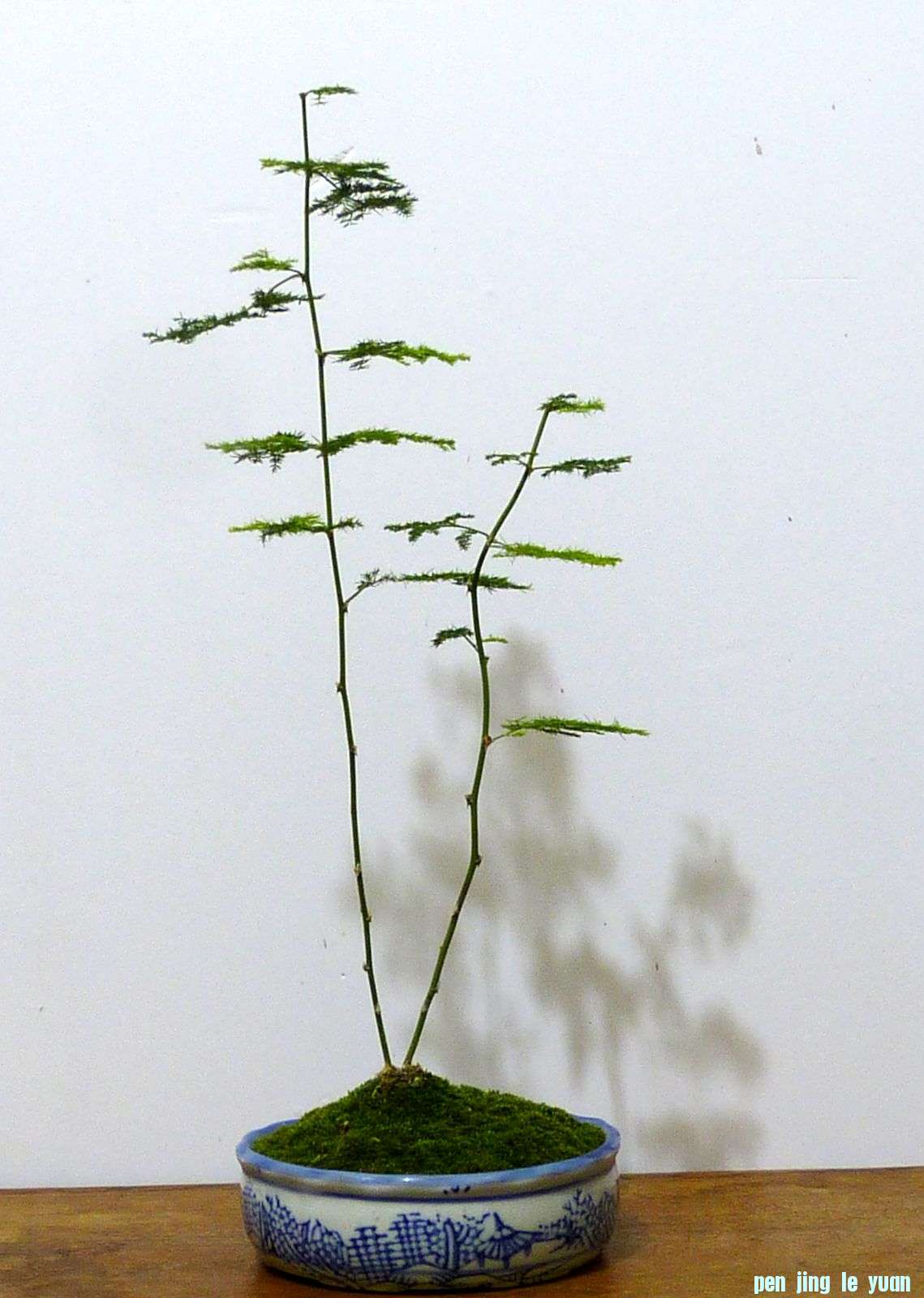 P1020023.jpg