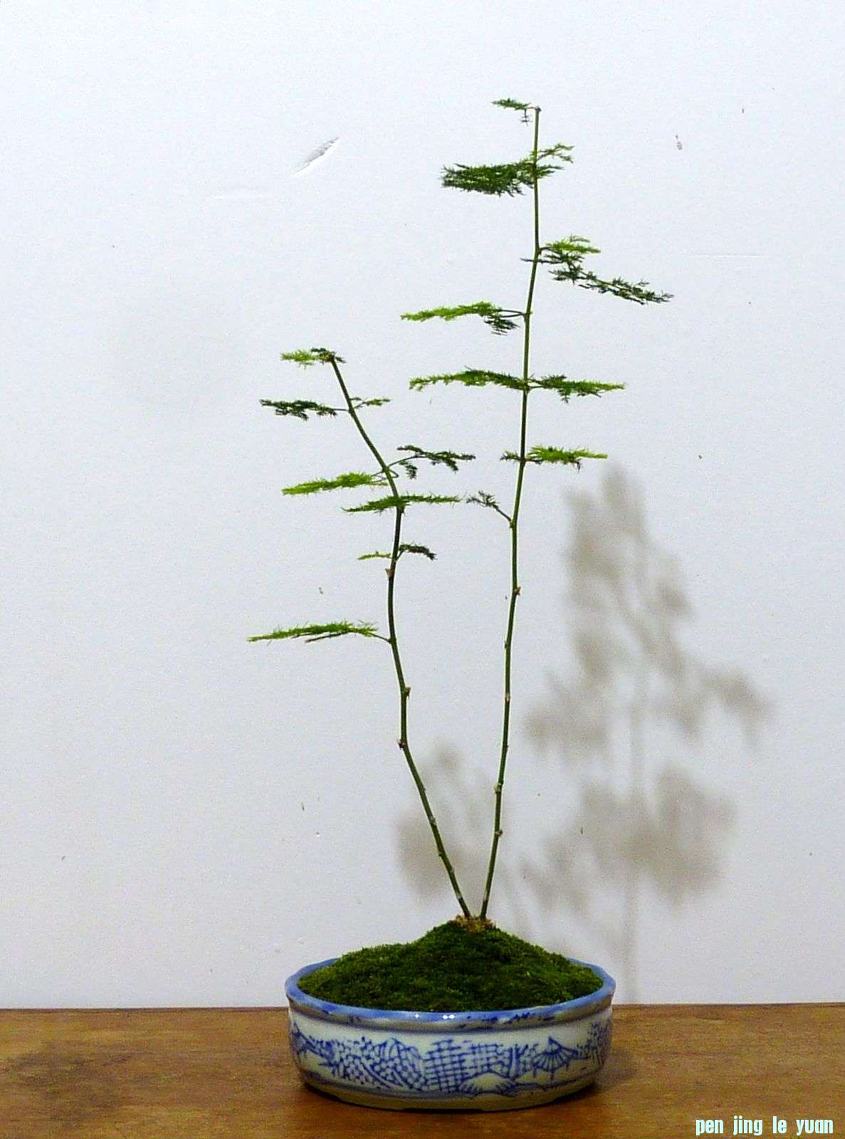 P1020022.jpg