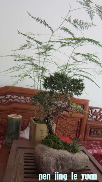 IMG_2514_С.JPG