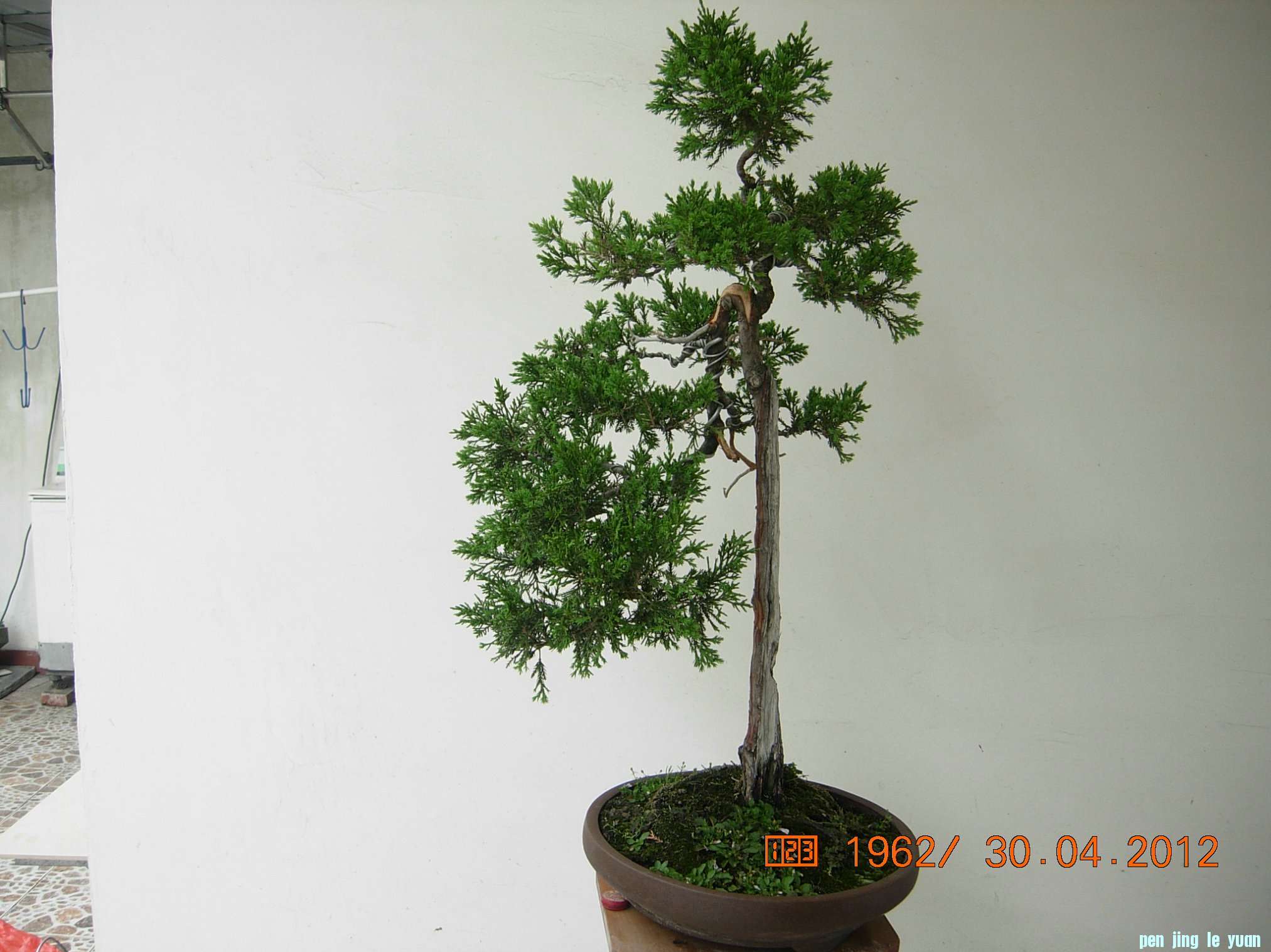 DSCN5809.JPG