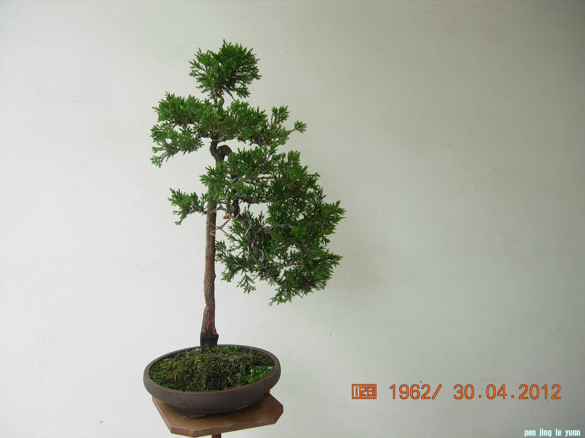DSCN5813.JPG