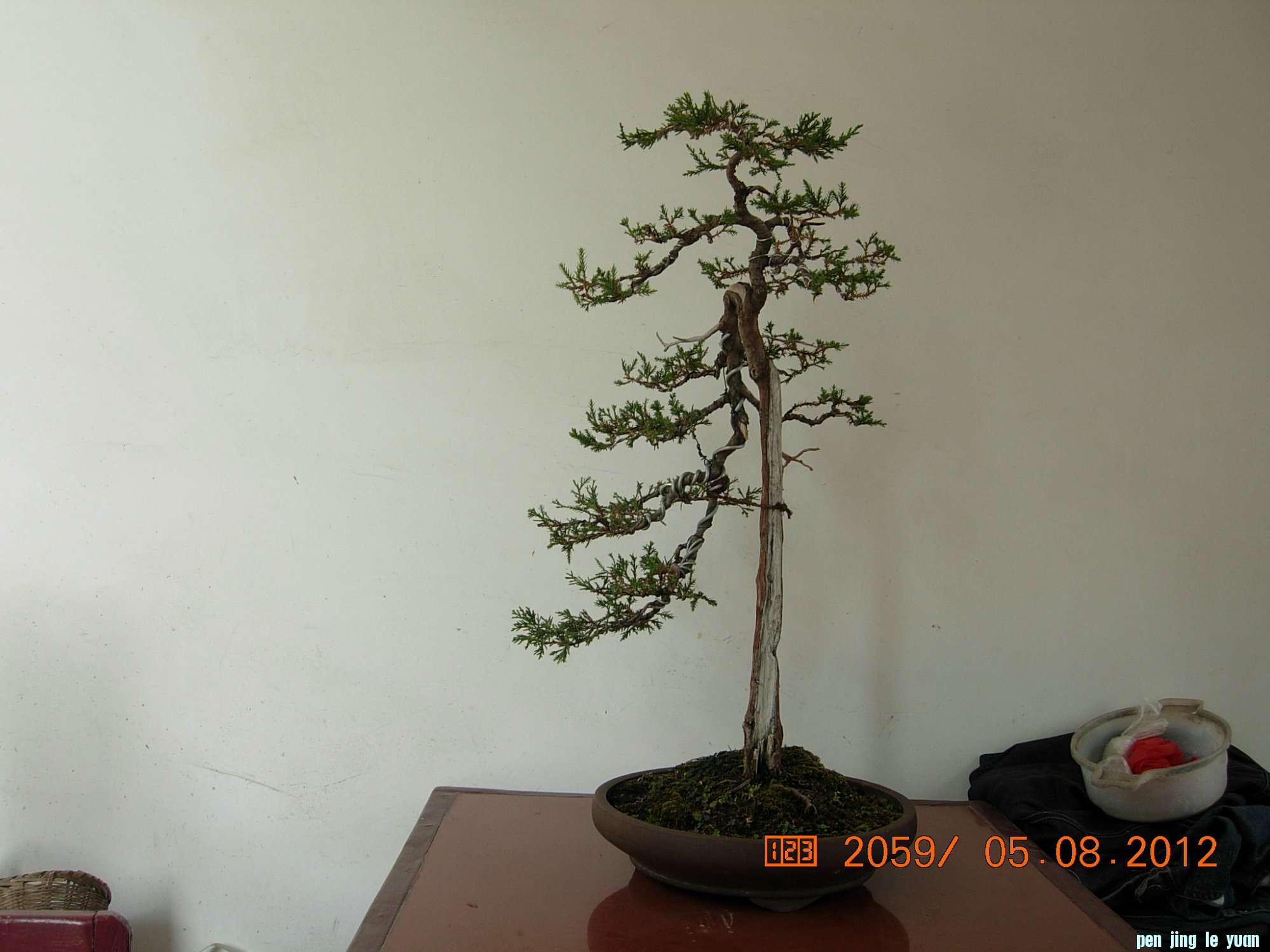 DSCN6288.JPG