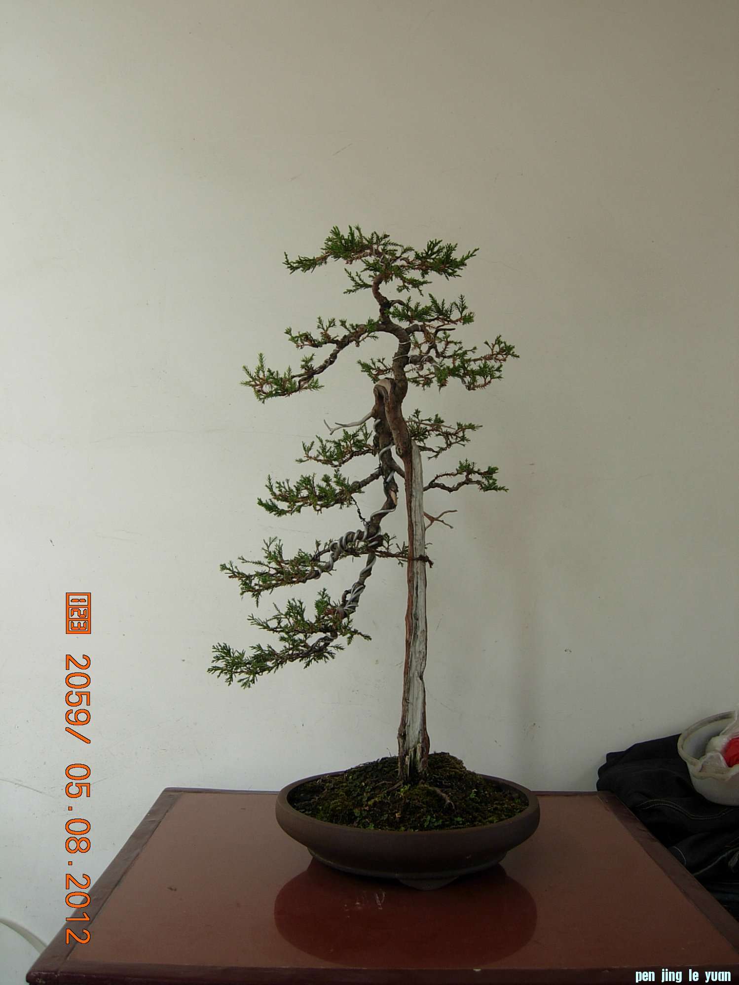 DSCN6289.JPG