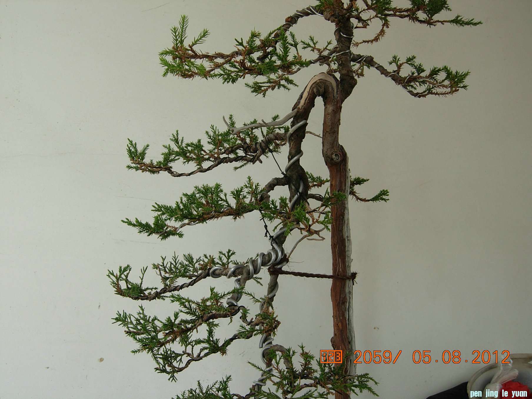 DSCN6292.JPG