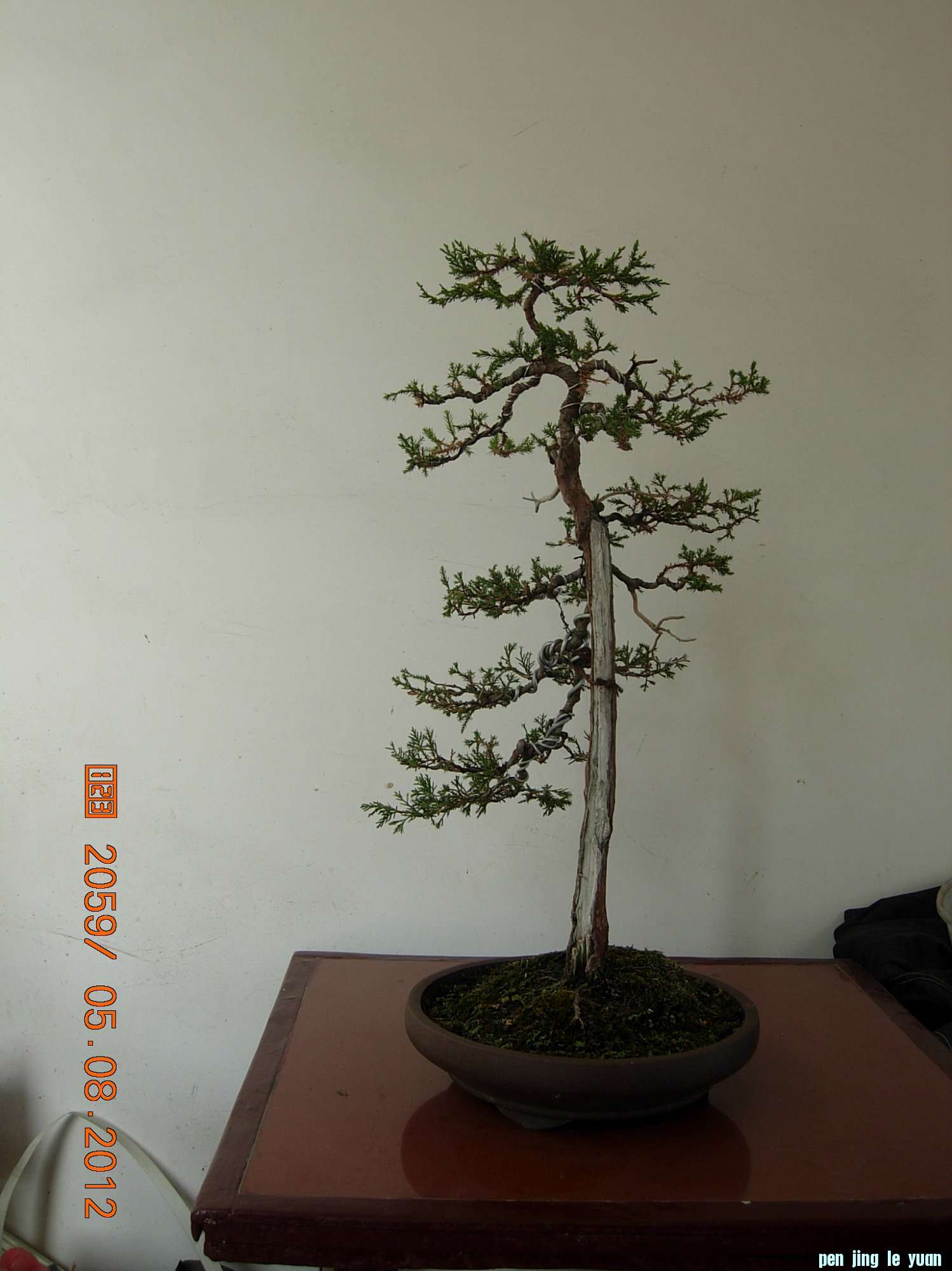 DSCN6293.JPG