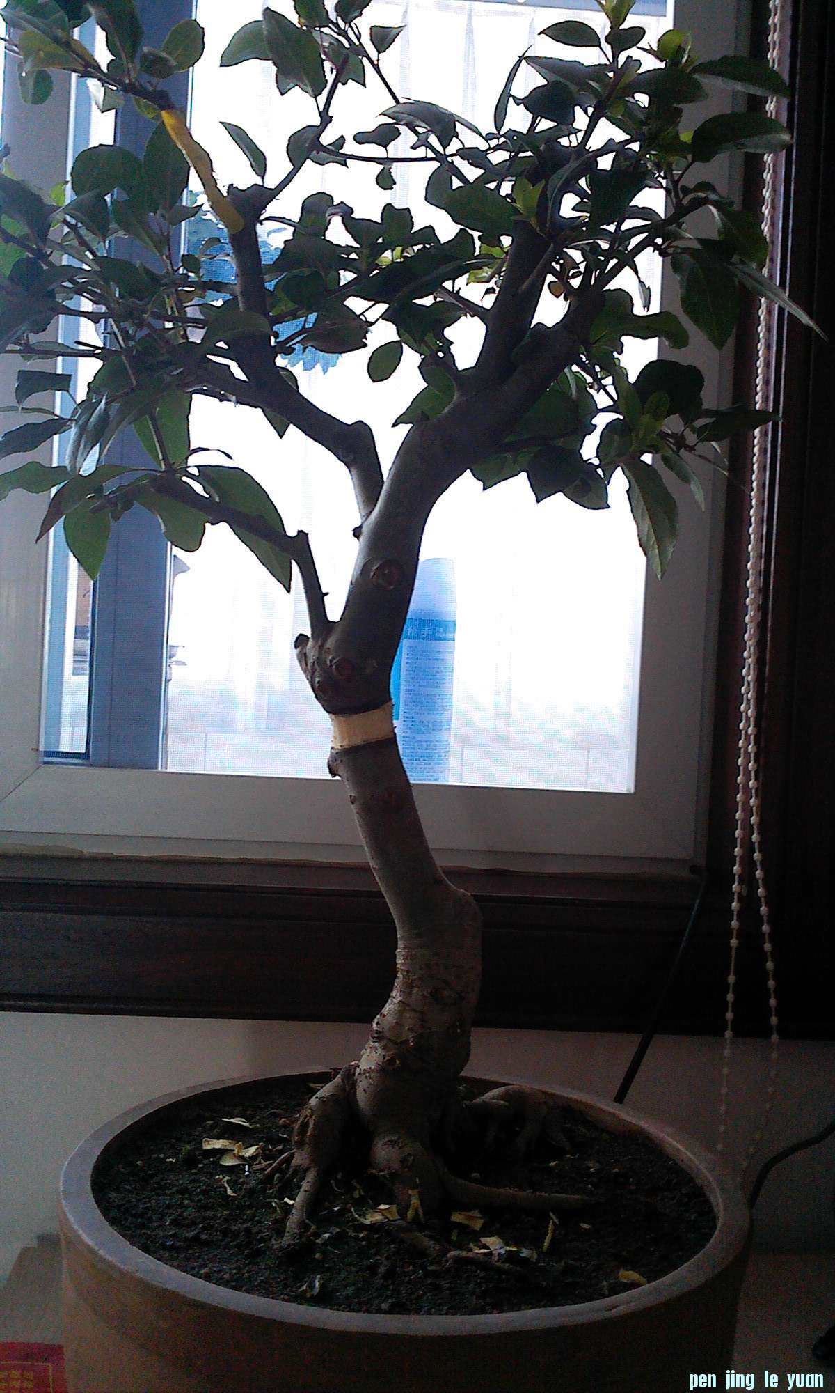 IMG0802065800.jpg