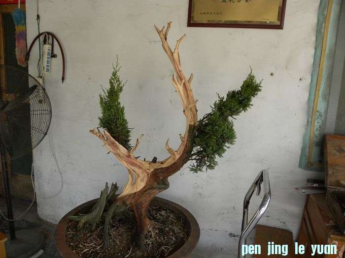 DSCN2873.jpg