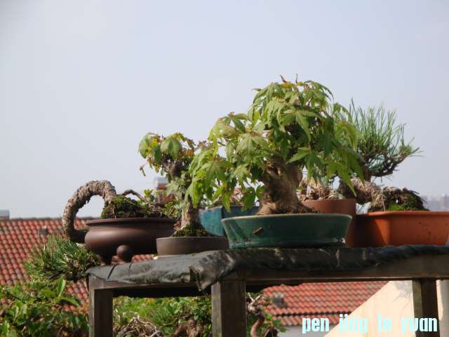 DSC09959.JPG