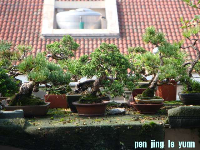 DSC09960.JPG