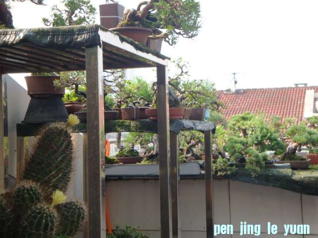 DSC09961.JPG