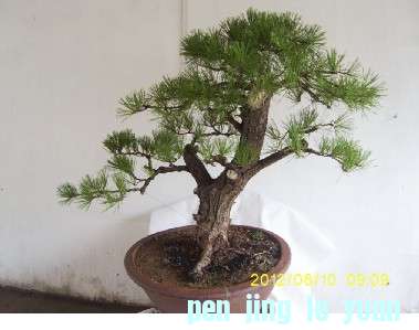 UAHL1HLZ@RI31X@W4HQB5[F.jpg