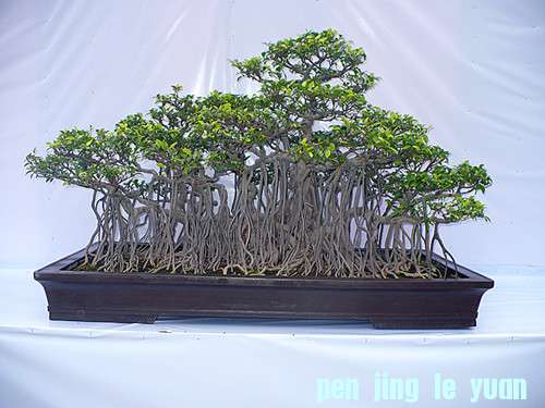 P1020790_.jpg