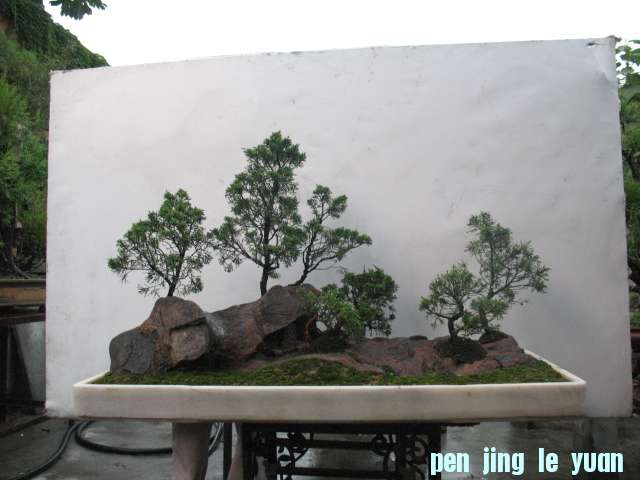 IMG_0008.jpg