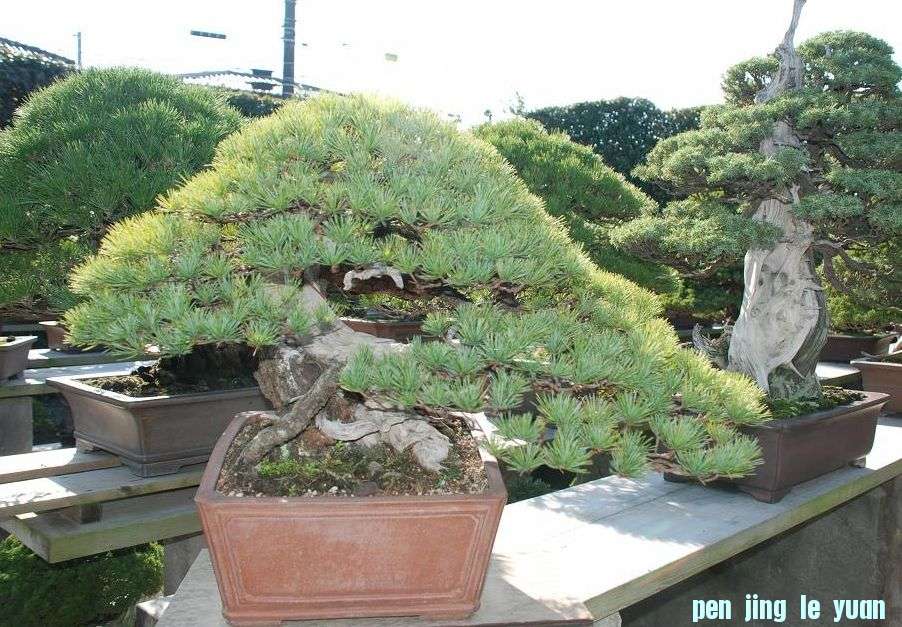 6.JPG