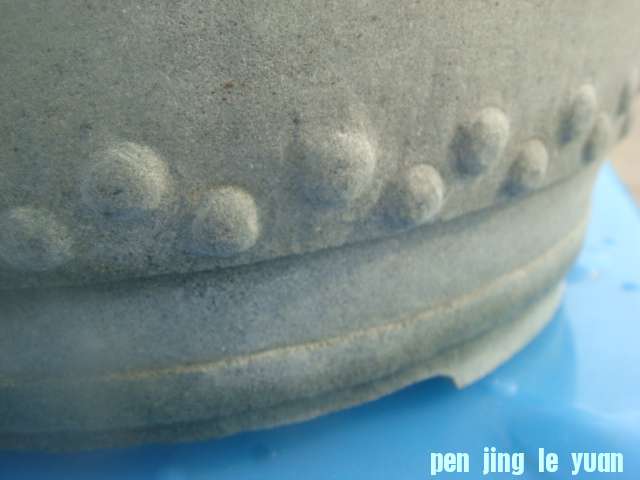 DSC04101.JPG