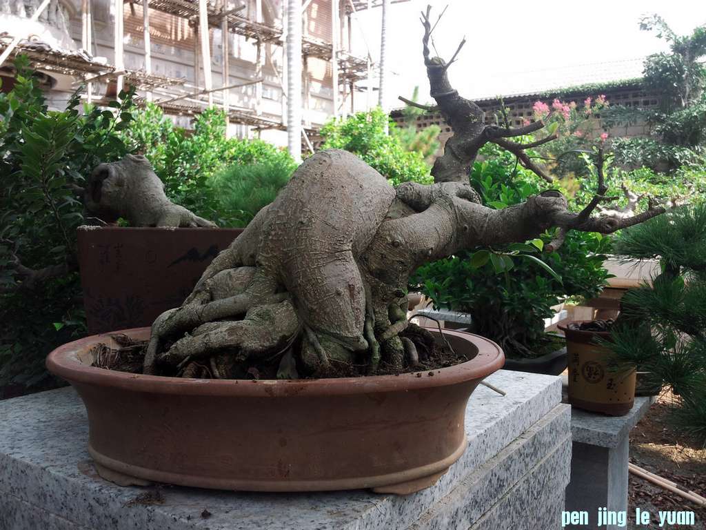20120812_091314AA.jpg