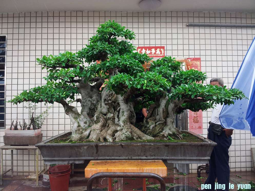 20120811_105625AA.jpg