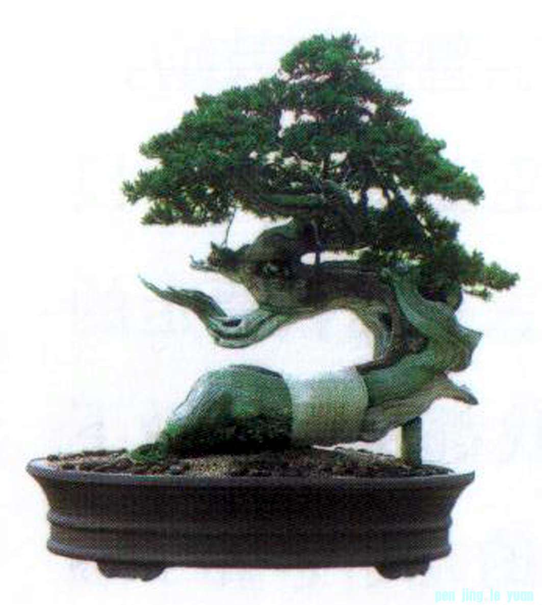 ݵ辰Է37.jpg