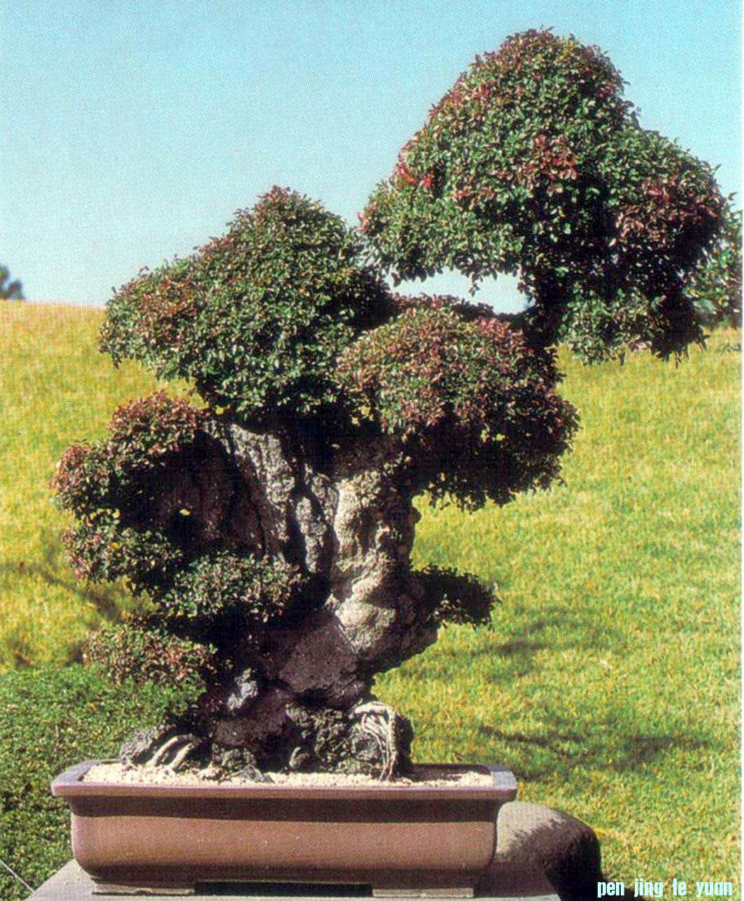 ݵ辰Է38.jpg