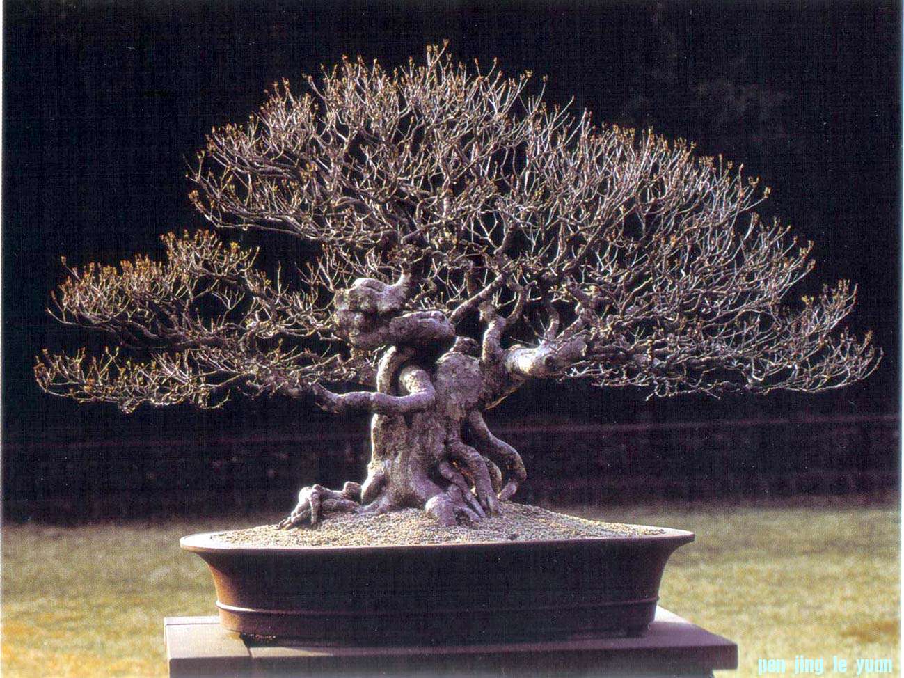 ݵ辰Է40.jpg