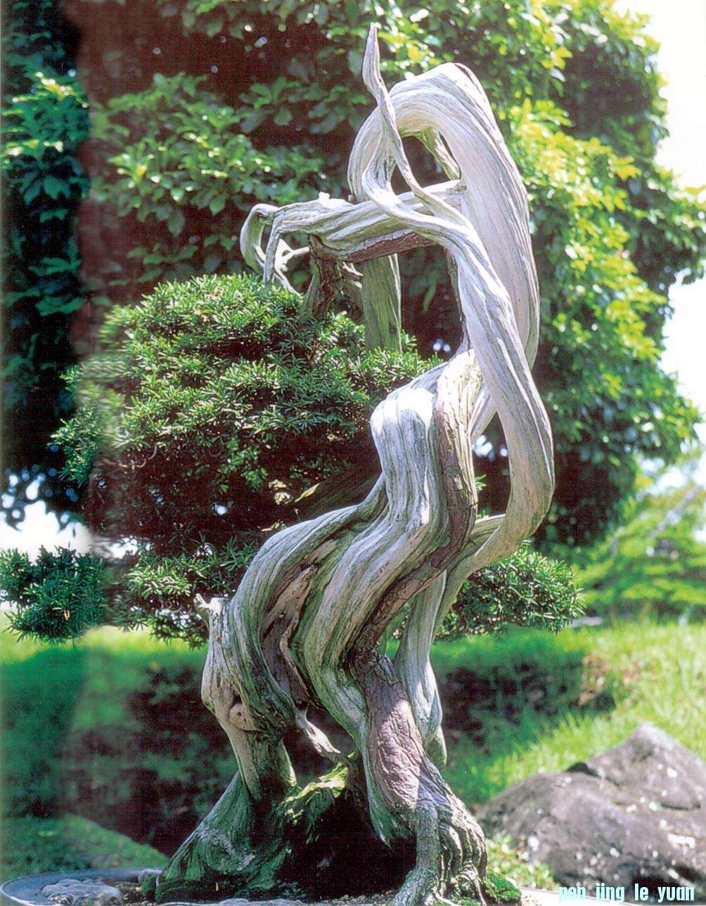ݵ辰Է44.jpg