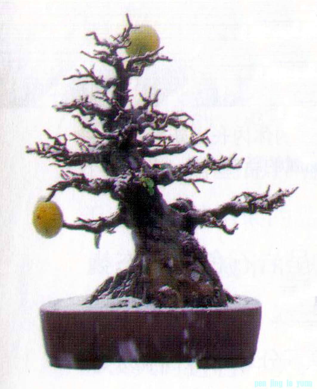 ݵ辰Է45.jpg